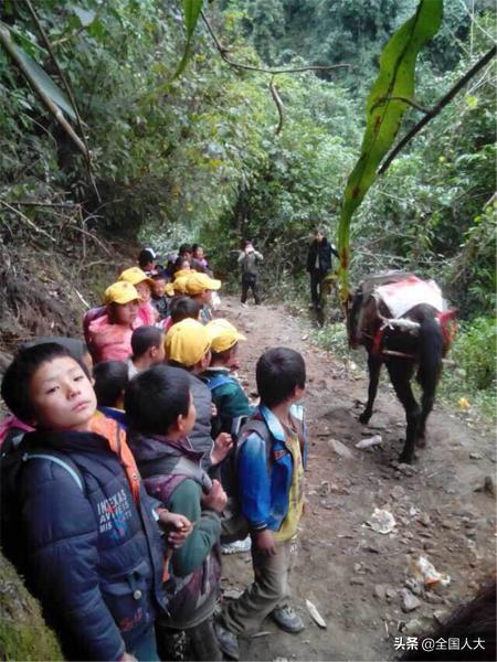 墨脱县小学新任领导，引领教育变革的先锋人物