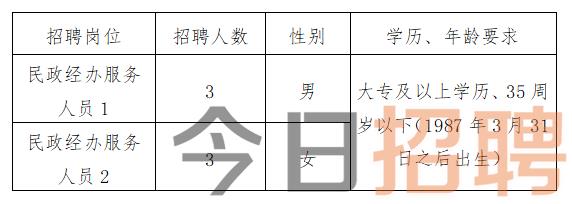 青田县初中最新招聘信息全面解析