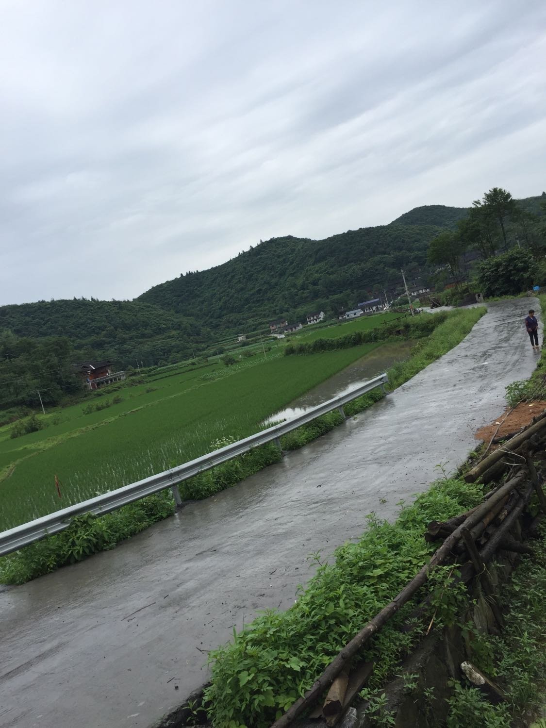 白坝村天气预报更新通知