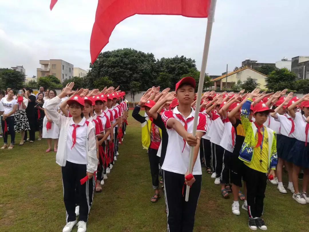 铁山港区小学最新项目，引领教育创新，塑造未来之光启航行动