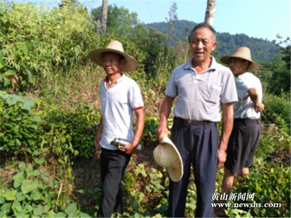 宋和村委会天气预报更新通知