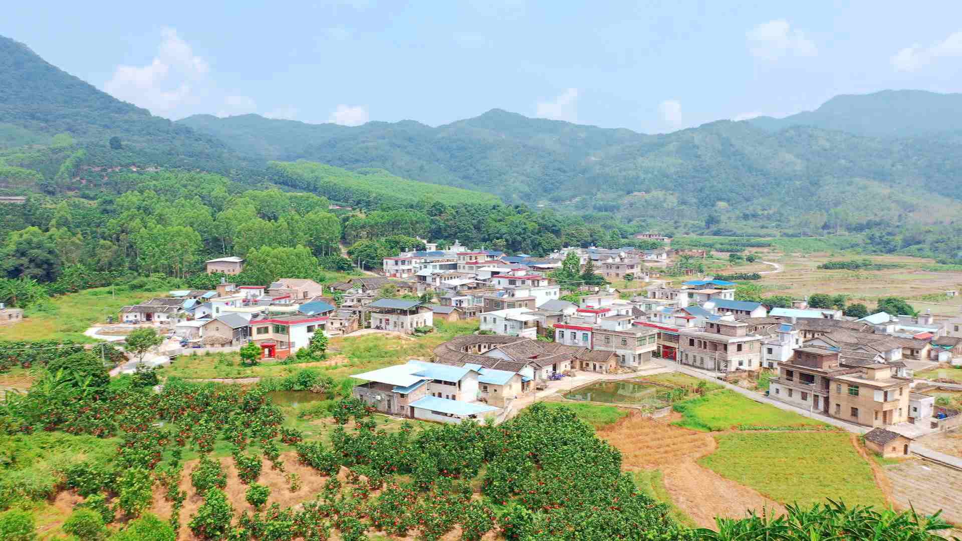 文福镇天气预报更新通知