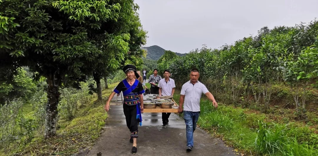 双江拉祜族佤族布朗族傣族自治县司法局动态更新