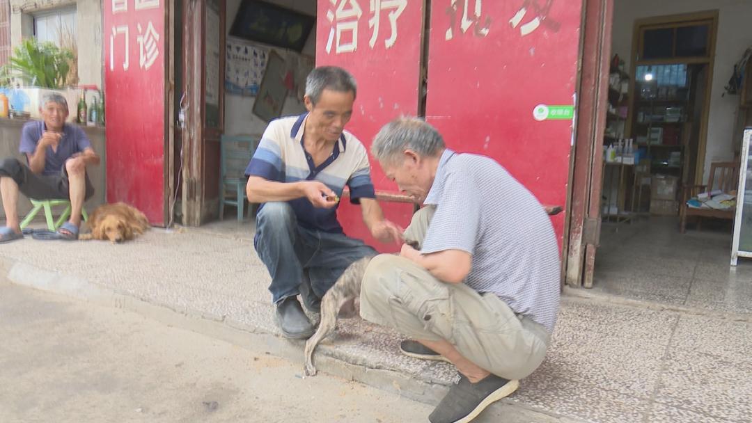 临颍县市场监督管理局强化监管优化服务，助力县域经济高质量发展