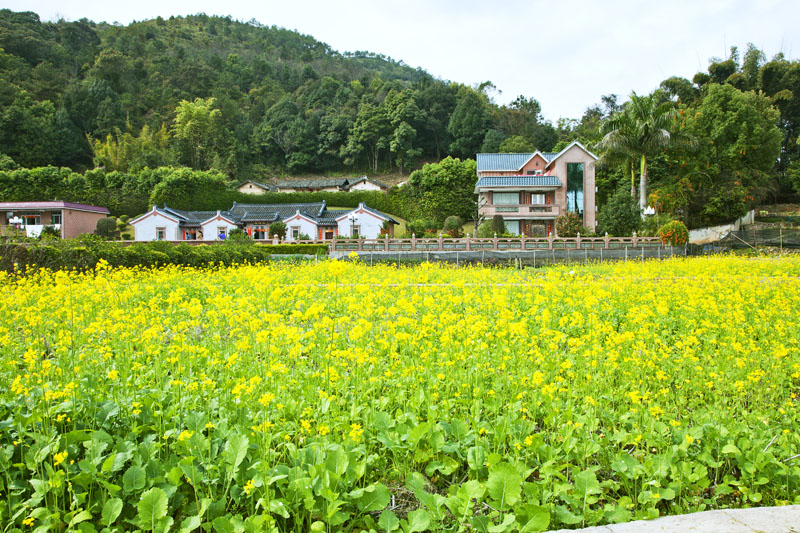 黄连村天气预报更新及影响解析