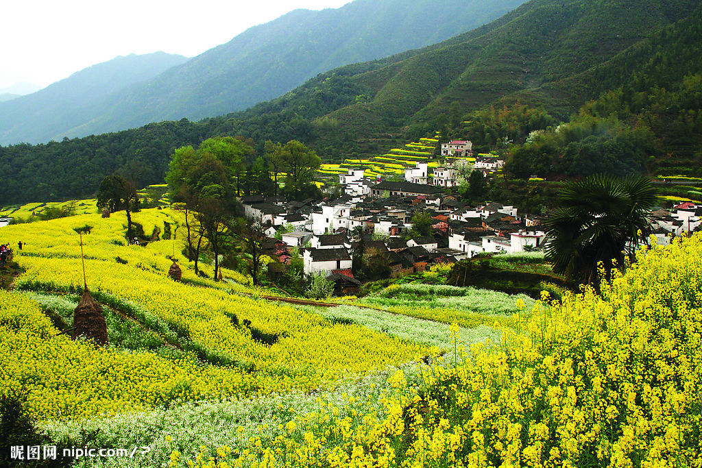 栗山坝镇新项目，引领地区发展的强大动力源泉