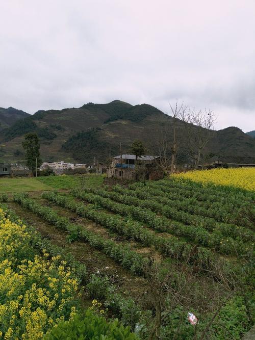 古宜镇天气预报更新通知