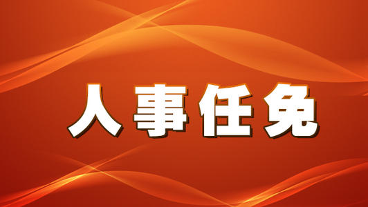 咸宁市外事办公室人事调整，构建高效团队 助推地方外交事务新篇章