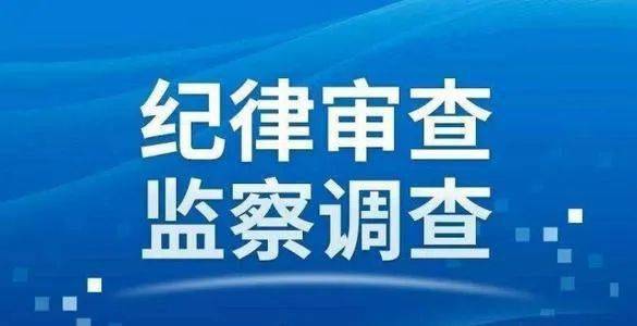 2025年1月1日 第2页