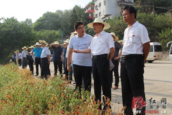 黄山头镇最新发展规划，塑造未来繁荣蓝图