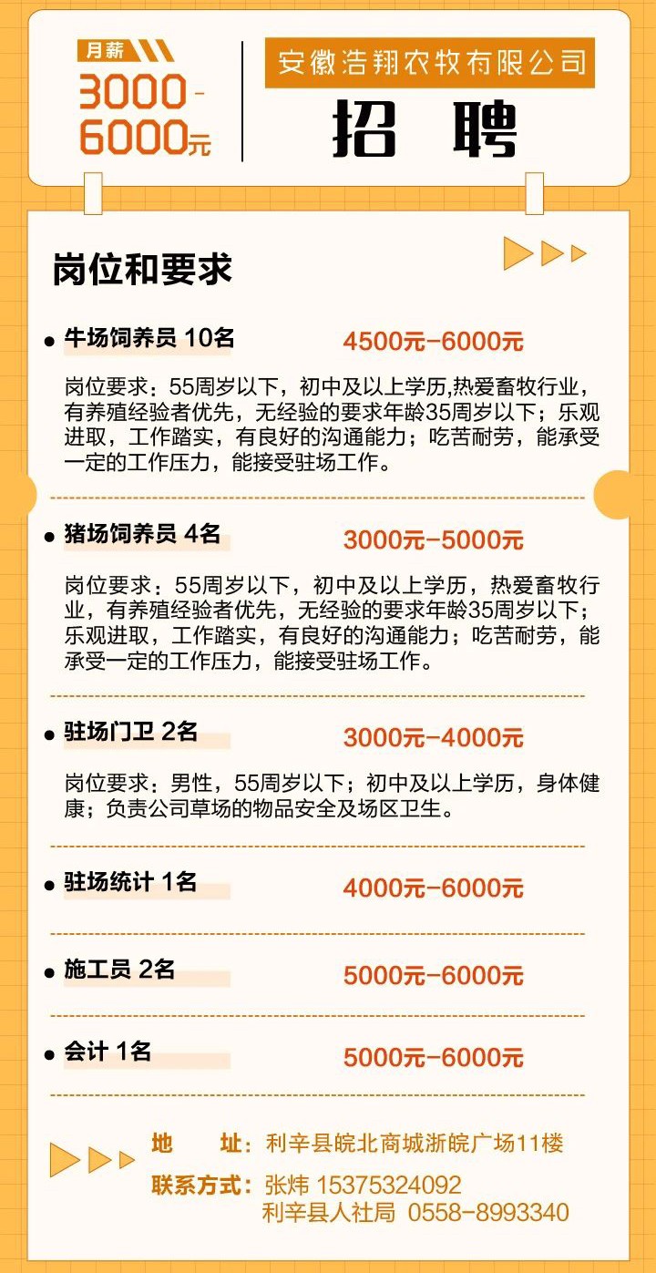 下班奈最新招聘信息及其潜在影响分析