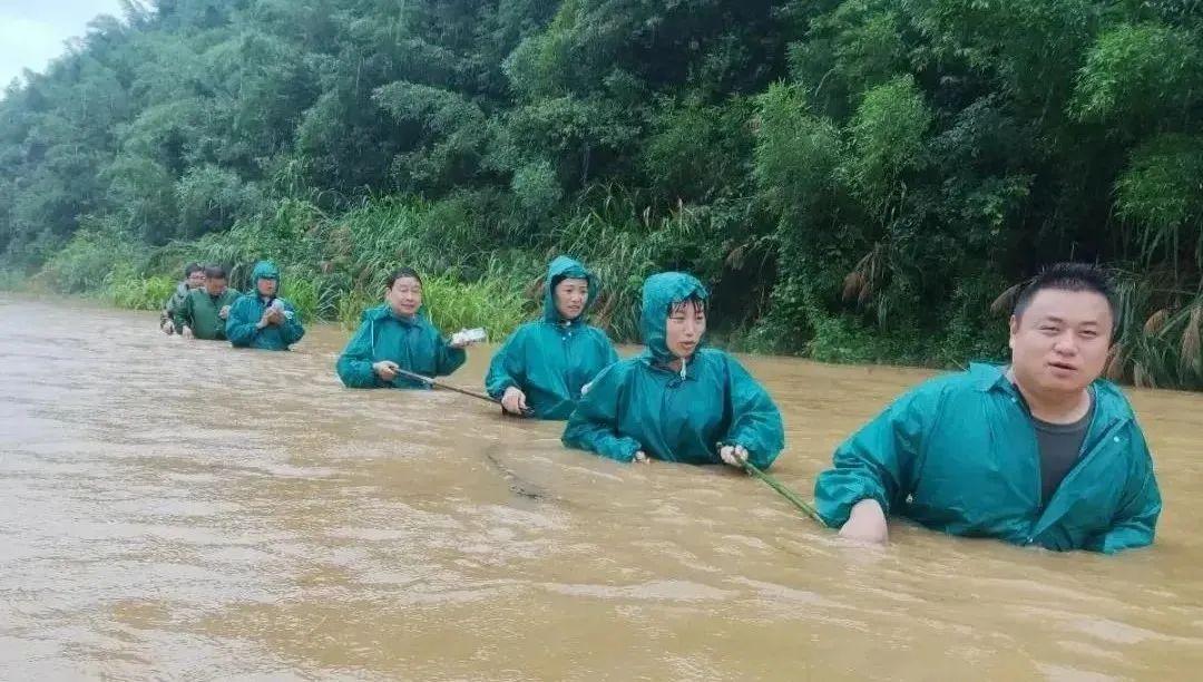 梓桐社区村最新项目助力乡村振兴与居民生活品质提升