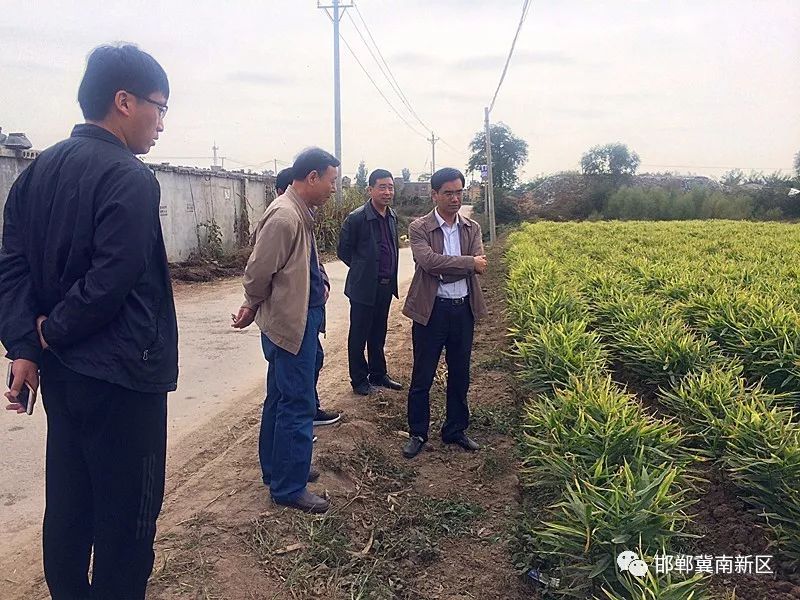 花官营乡新发展规划，塑造乡村新貌，推动可持续发展之路