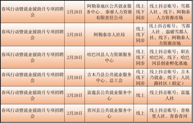 岳阳市市统计局最新招聘信息详解