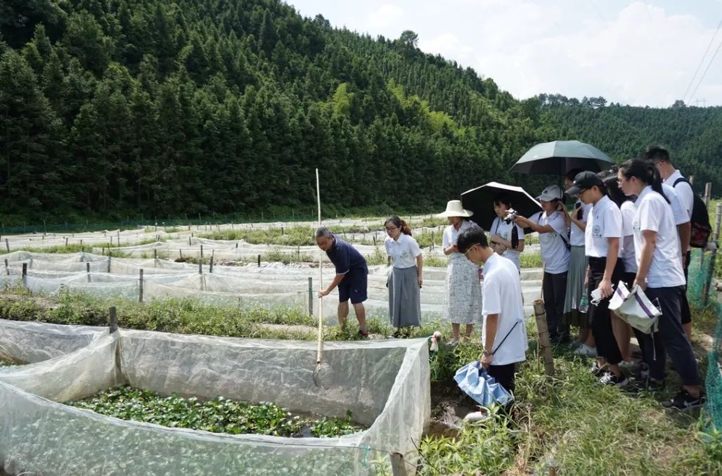 夏东村最新项目启动，乡村振兴新篇章