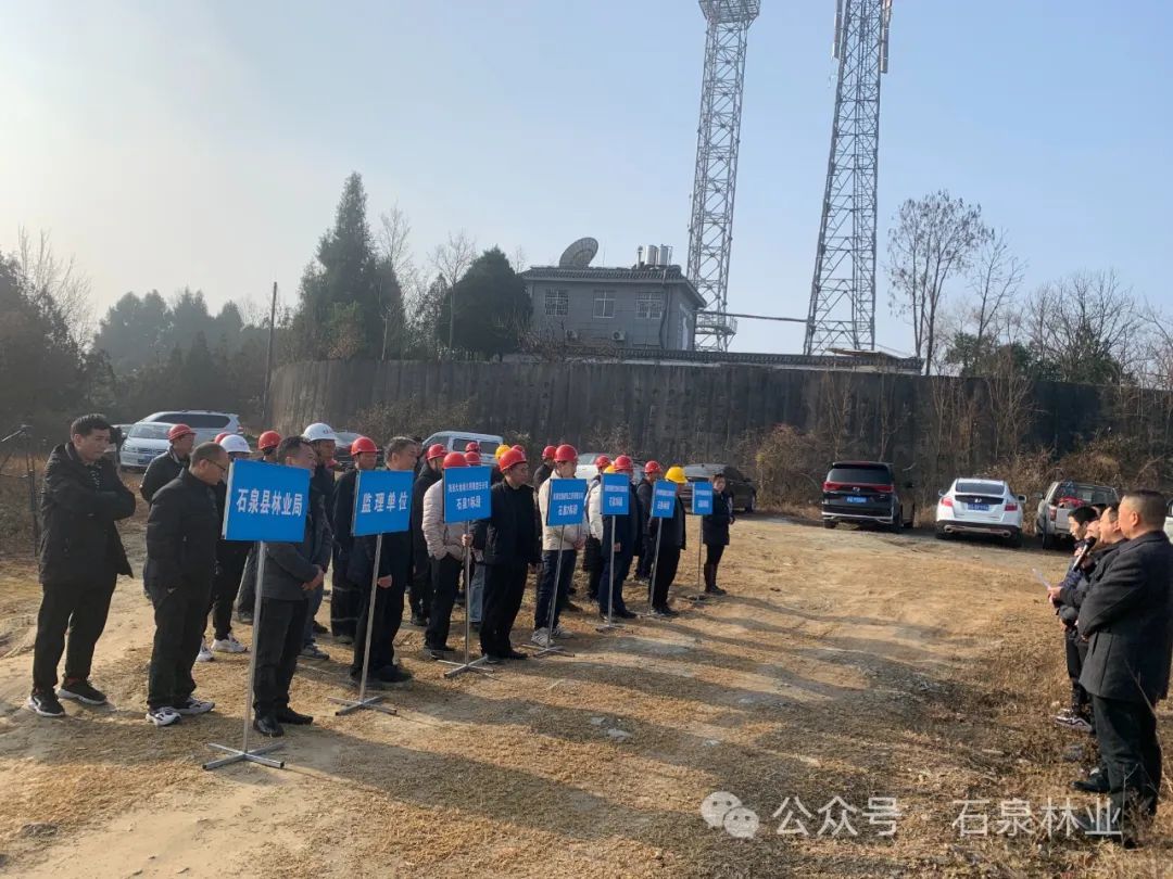 石碑岭村委会最新项目，重塑乡村，走向繁荣