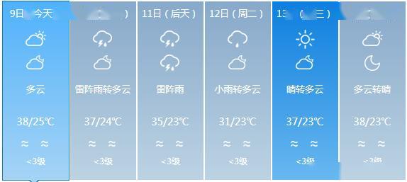 2025年1月15日 第8页