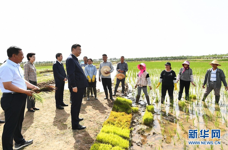 庞家沟村民委员会重塑乡村，推动可持续发展新项目启动