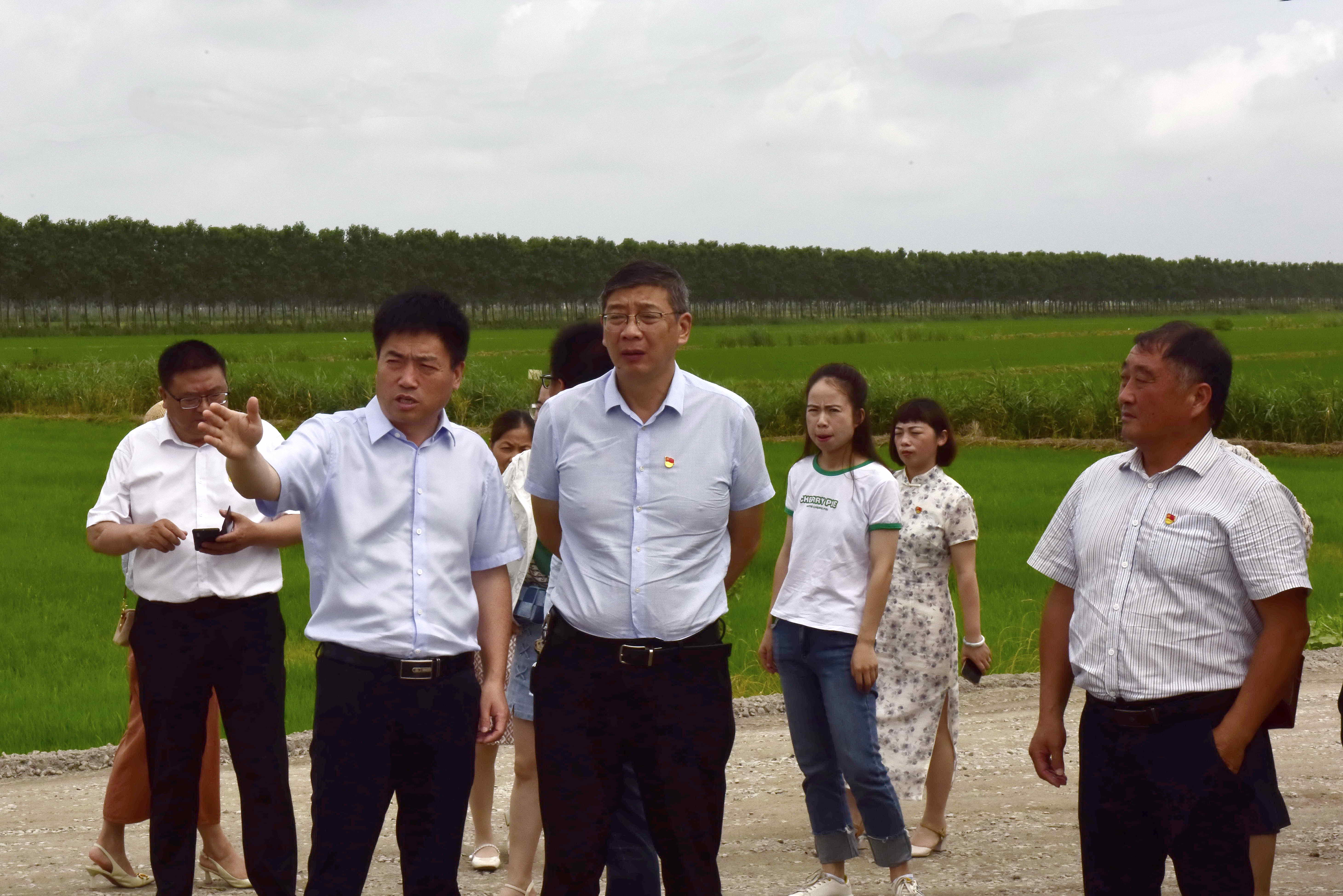 国营弶港农场人事任命揭晓，深远影响展望