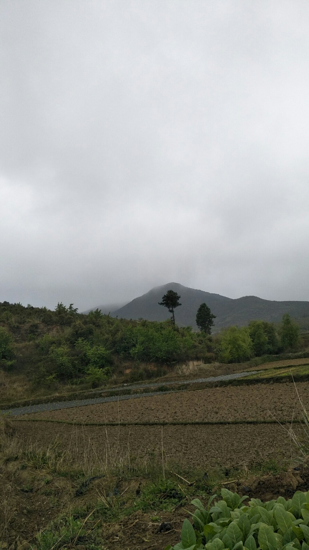 秋渠乡天气预报更新通知