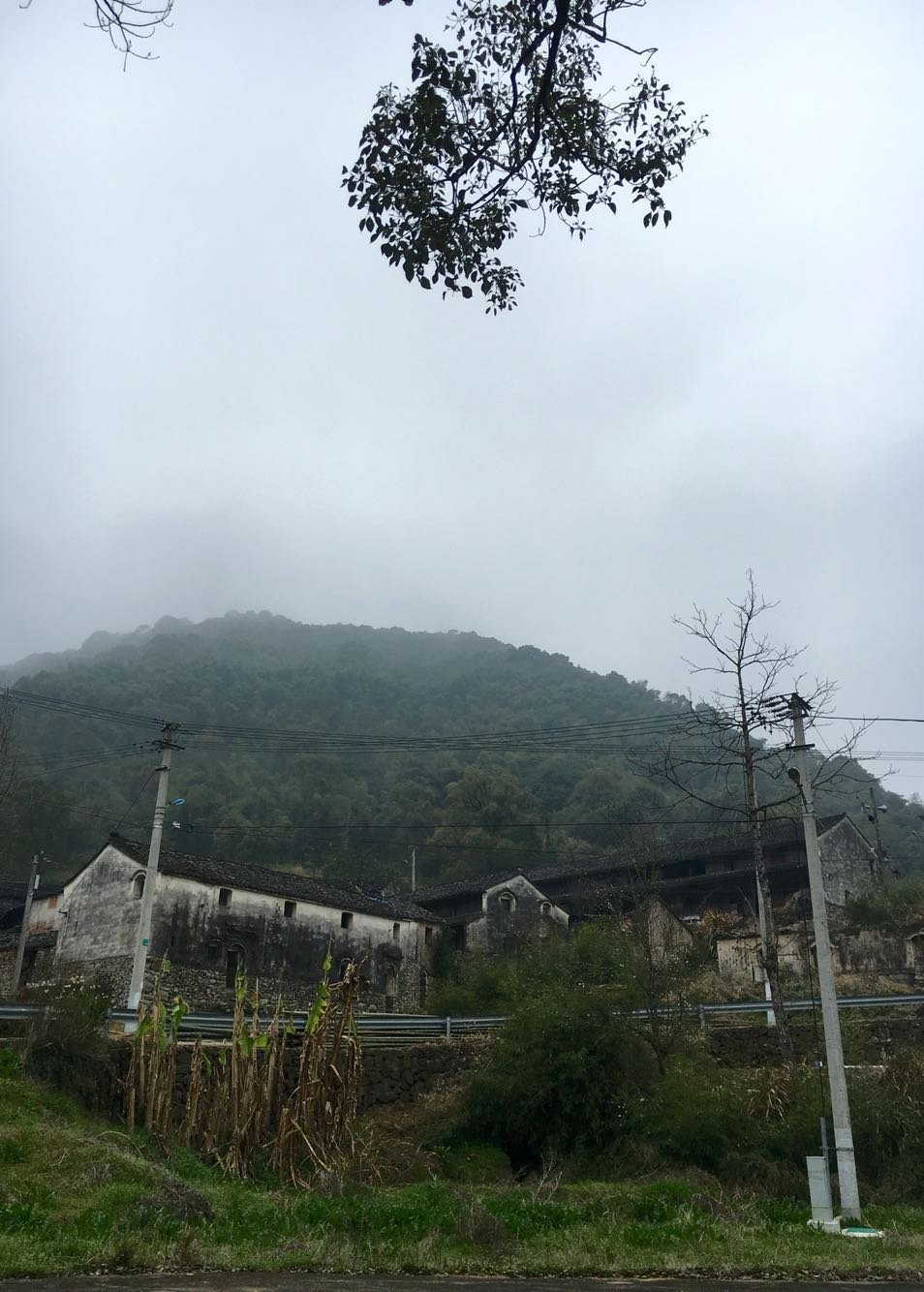 玉地河村委会天气预报更新通知