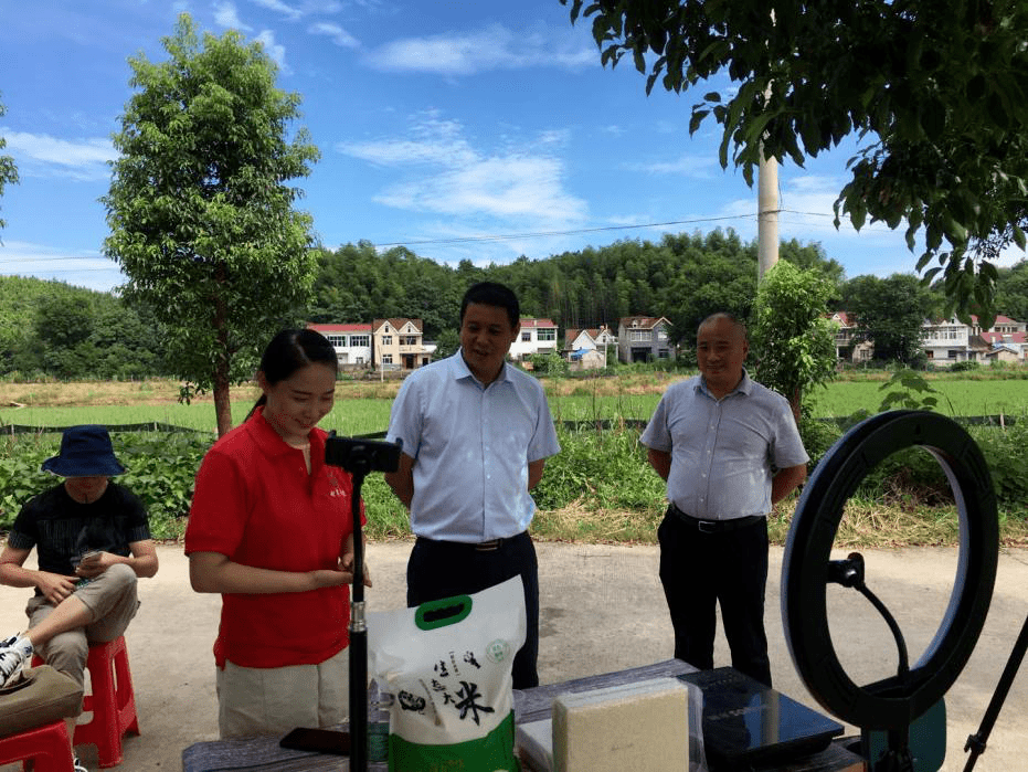 何湾镇最新项目，地区发展的强大引擎驱动力